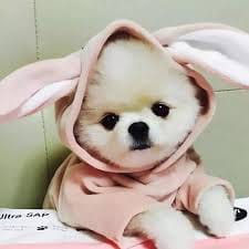 Zsa Zsa Padilla's avatar